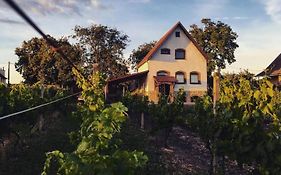 Ubytování ve vinném sklepě - Velké Bílovice